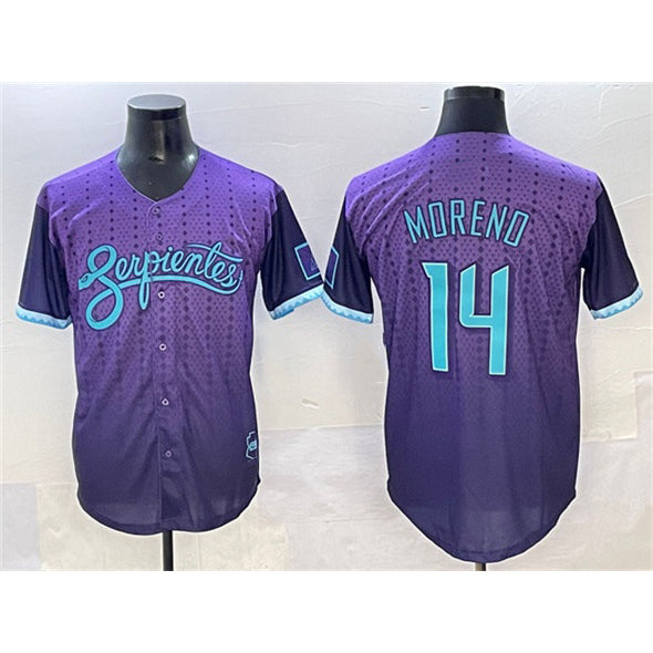 Arizona Diamondbacks #14 Gabriel Moreno Purple MASONITE 2025 City Connect Limited Stitched Jersey