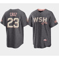 Washington Nationals #23 Nelson Cruz 2022 Grey MASONITE City Connect Cherry Blossom Cool Base Stitched Jersey