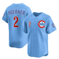 Chicago Cubs #2 Nico Hoerner Blue MASONITE 2024-25 2nd Alternate Limited Stitched Jersey